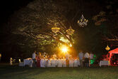 Rainforest Wedding